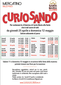 Curiosando 